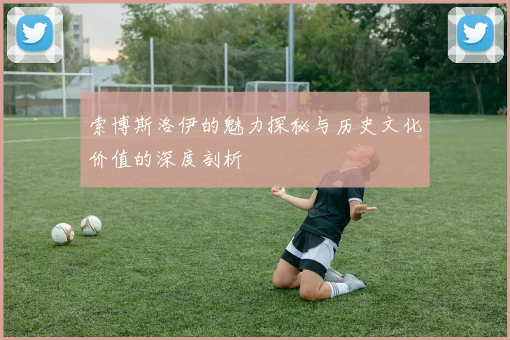 索博斯洛伊的魅力探秘与历史文化价值的深度剖析