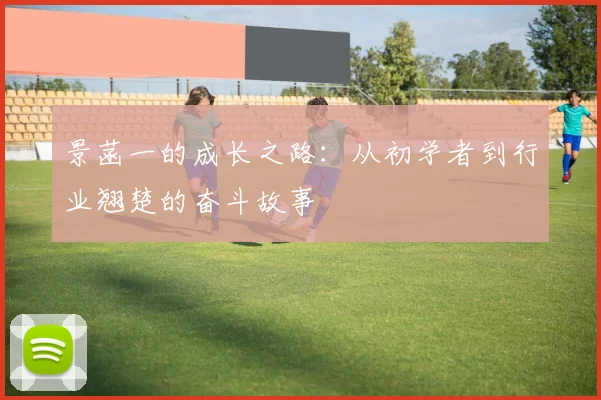 景菡一的成长之路：从初学者到行业翘楚的奋斗故事