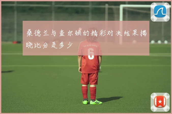 桑德兰与查尔顿的精彩对决结果揭晓比分是多少