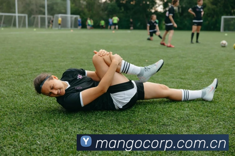 芒果体育平台生态图