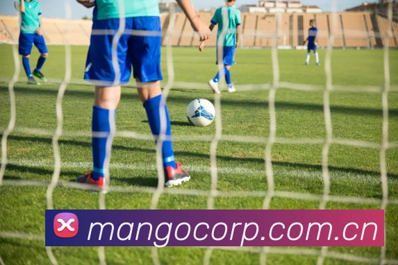 芒果体育APP 封面图